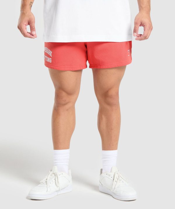 Lifting Mesh 5" Shorts
