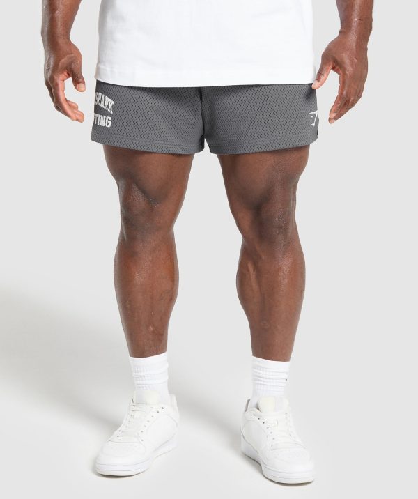 Lifting Mesh 5" Shorts